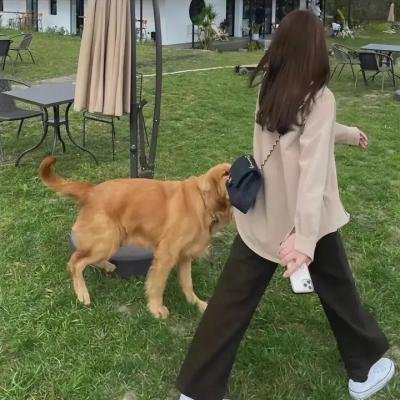 边城侠盗 在线观看封面